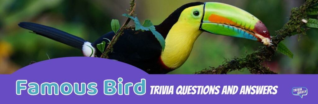 Famous bird trivia image